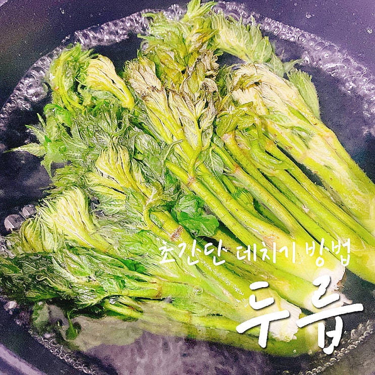  두릅데치기, 두릅보관법과 두릅손질법까지 TIP-.