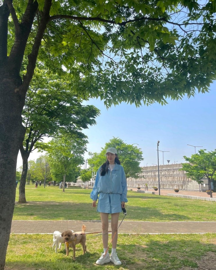 걸스데이 출신 배우 방민아, 반려견 댕댕님들 '공돌따꿍' 산책 시켜 드리기 좋은 날씨 걸스데이 출신 배우 방민아, 반려견 댕댕님들 '공돌따꿍' 산책 시켜 드리기 좋은 날씨