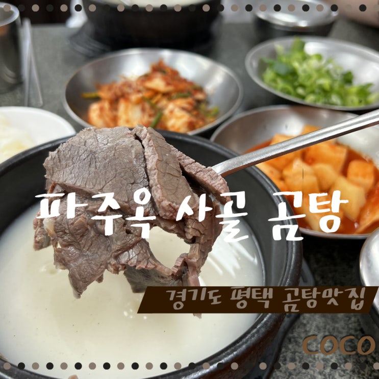 경기도 평택 우유 빛깔 사골 곰탕 맛집 파주옥