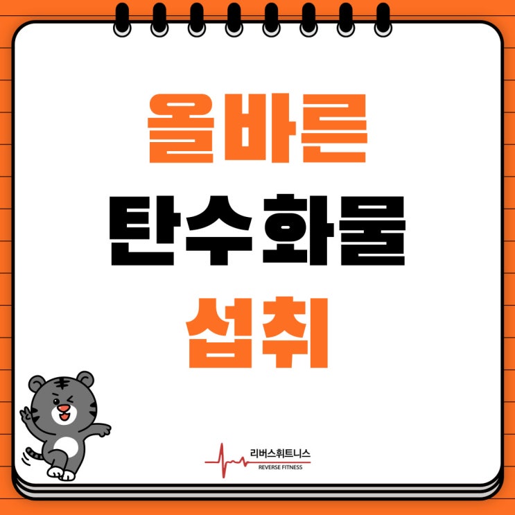  올바른 탄수화물 섭취! 하남 헬스장 리버스휘트니스 에서 알려드려요!