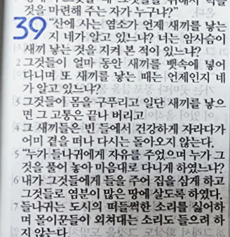 욥의 시련(욥기) 39장 욥의 시련(욥기) 39장