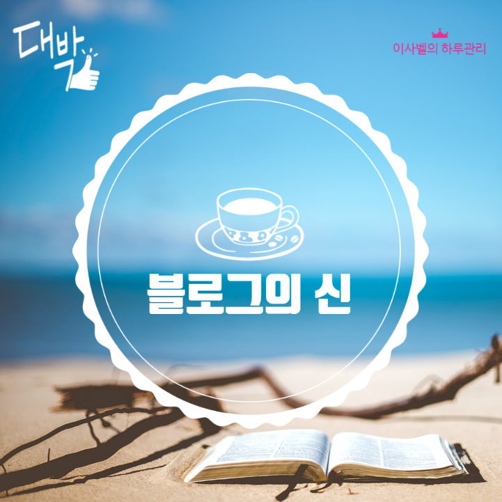  [65] 블로그의 신