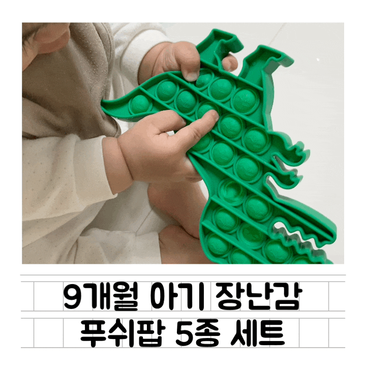  [내돈내산] 9개월 아기 장난감 : 푸쉬팝 5종 세트 / 소근육 발달 & 운동협응능력 & 주의력 집중 향상