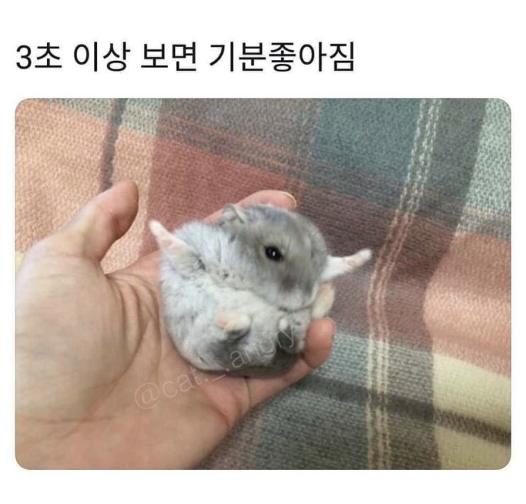  깜빡