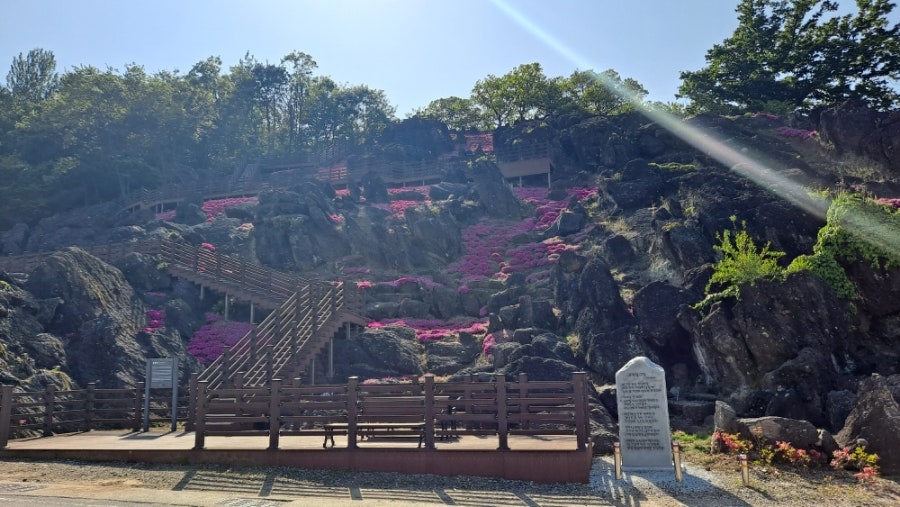 호미골 사진 6