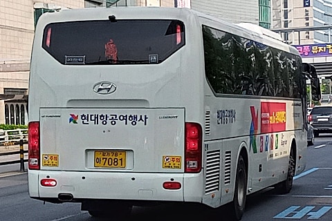 뉴럭셔리여행사 이미지