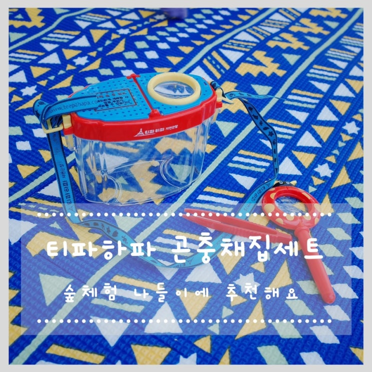  티파하파 곤충채집세트 숲체험 나들이에 추천해요