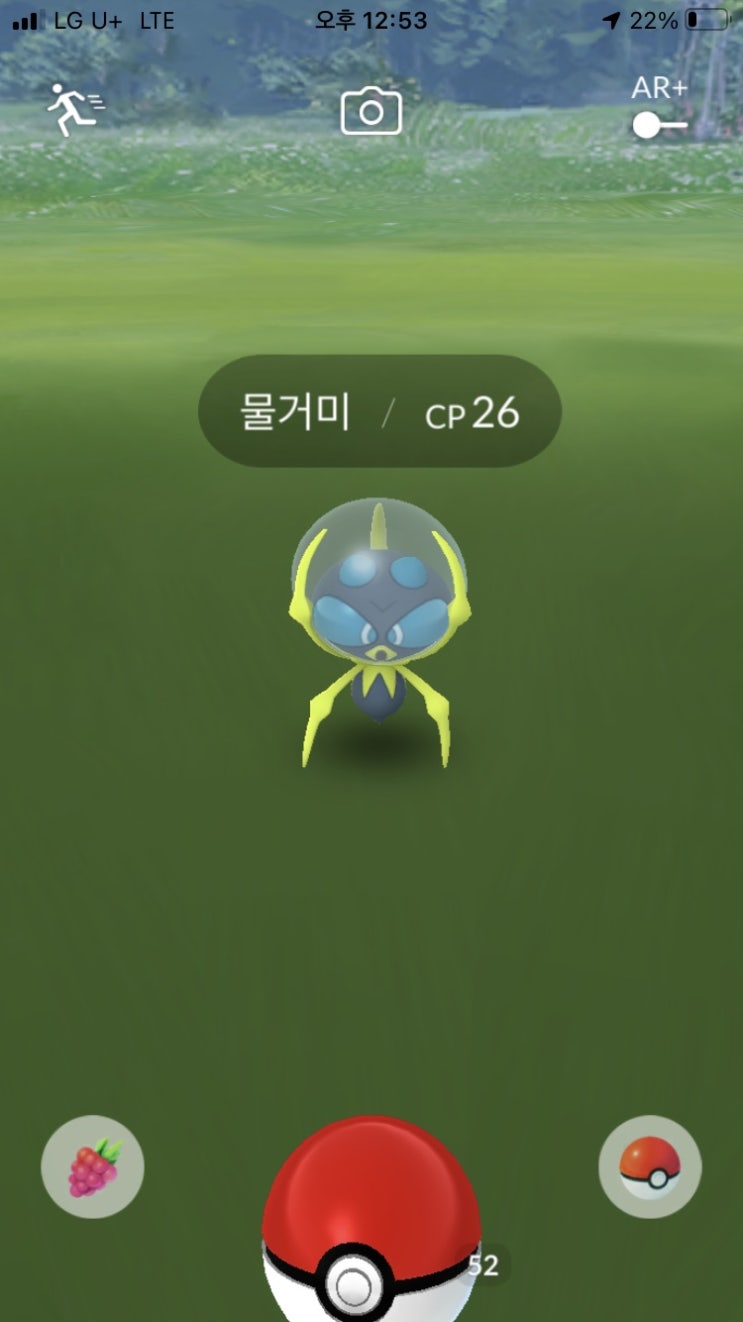  물거미