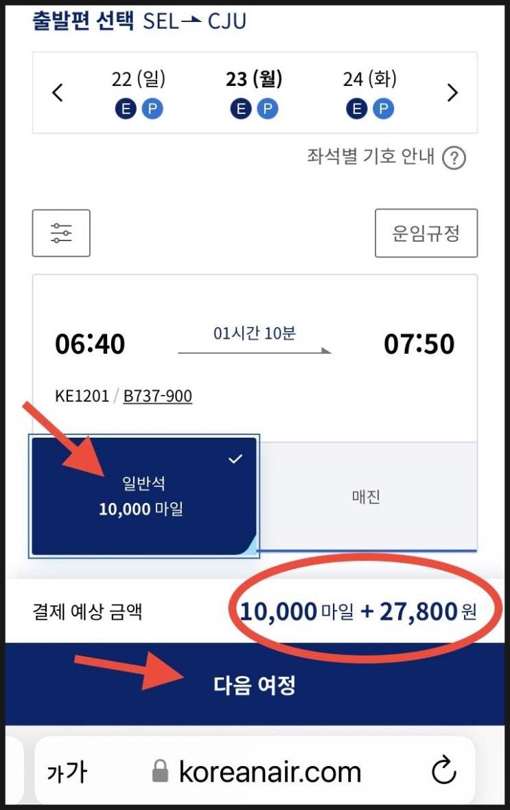  [대한항공 마일리지 사용] 아주 손쉬운 항공권과 호텔 예매 방법 (1)항공권