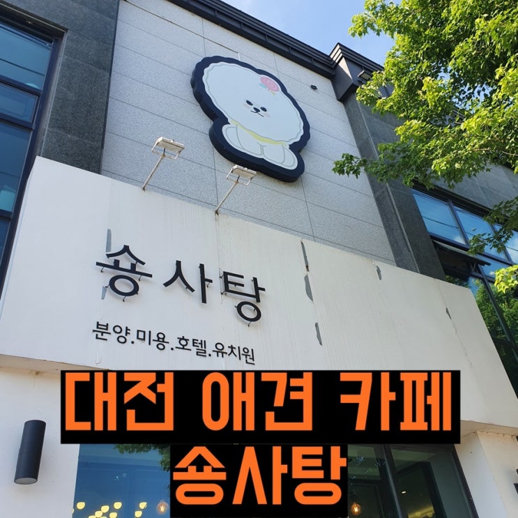  [대전]숑사탕 대전 애견 운동장을 다녀왔습니다!/애견 토탈 서비스