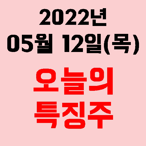  오늘의 시장 특징주 2022년 05월 12일(목)