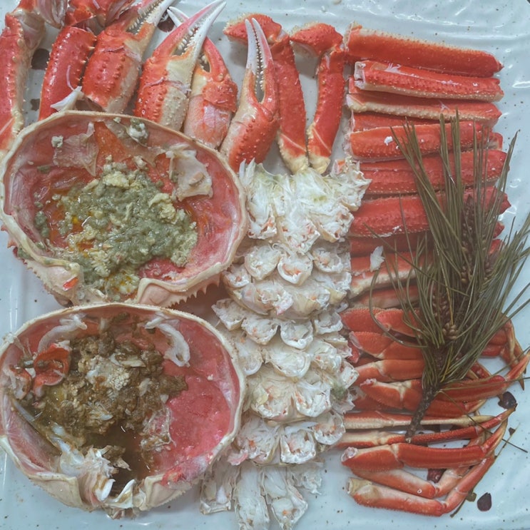  강릉 솔향대게, 세인트존스호텔 근처 애견동반 식당