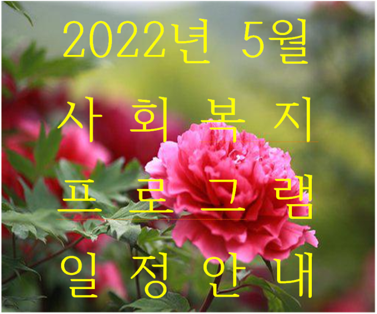  2022년 5월 12일 오전 11시 18분에 저장한 글입니다.