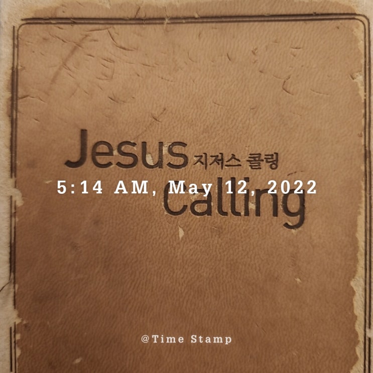  [감사일기]#463 I fully let go and trust in divine timing
