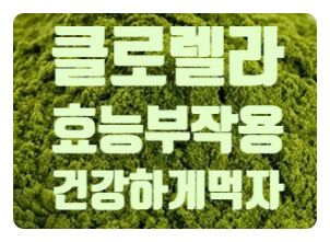  클로렐라 효능 부작용 고르는방법 먹는방법
