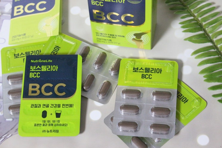  관절에좋은영양제 드디어 정착했어요!