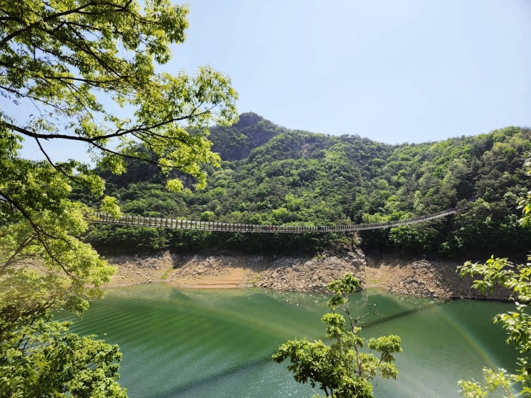  제천 가볍게 가볼만한곳. 옥순봉 출렁다리