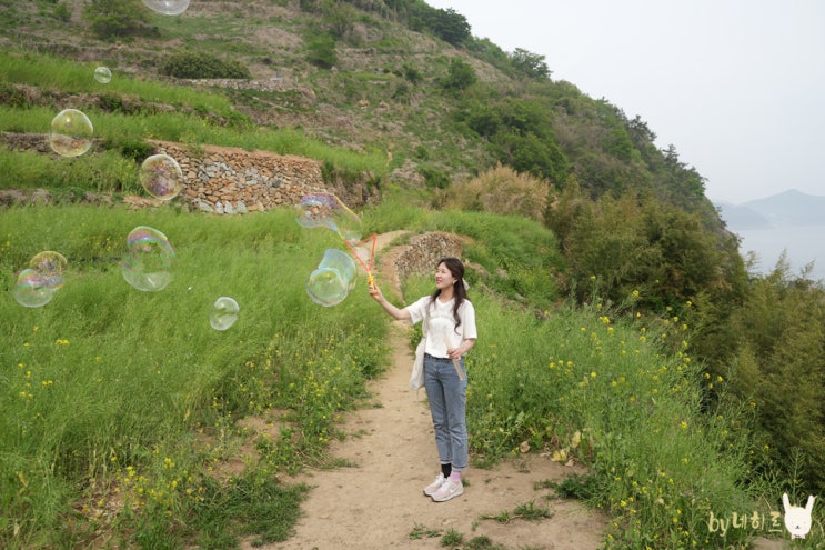 남해 다랭이마을 산책 볼거리 남해 카페톨