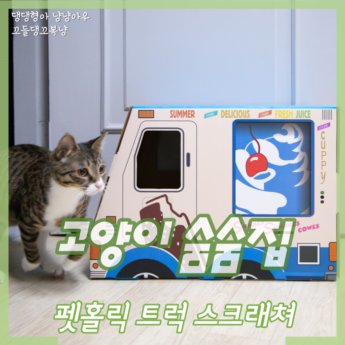  고양이 숨숨집 필요한 이유 스크래쳐 사용 가능한 펫홀릭 트럭
