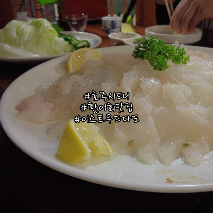 시드니 횟집 싱싱한 활어회가 맛있는 이스트우드 다도