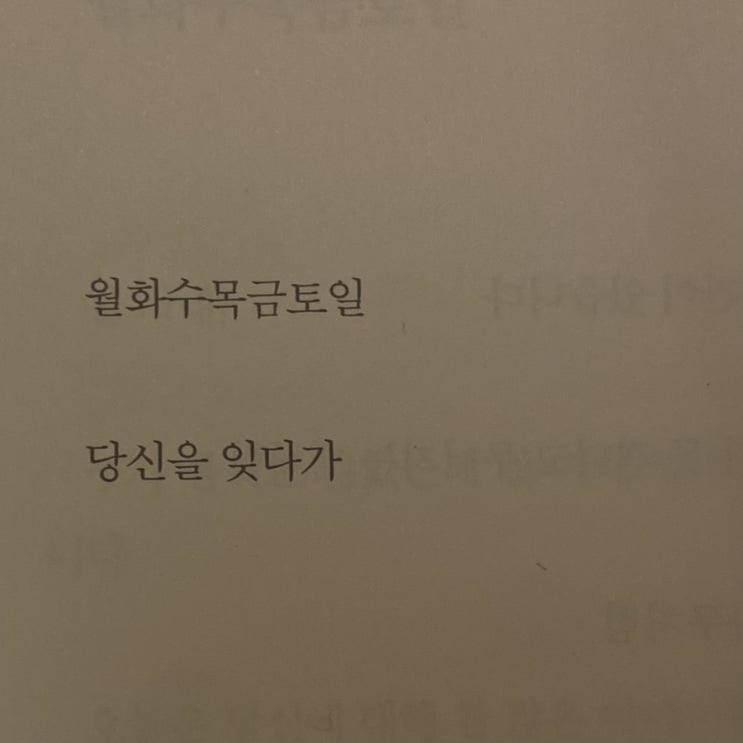  정다연 / 월화수목금토일
