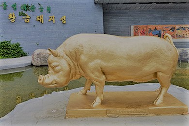  마산 가볼 만한 곳 : 돝섬 황금돼지의 섬