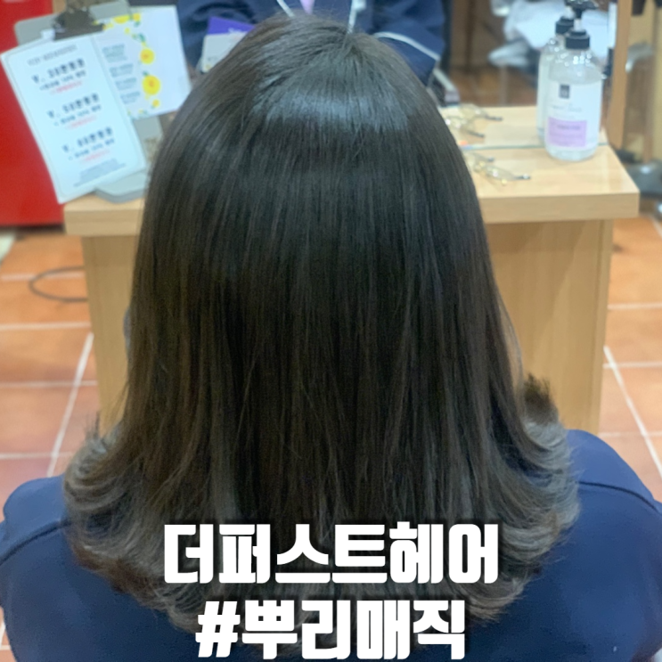  안암미용실 더퍼스트헤어 부시시한 곱슬 뿌리매직으로 여름나기
