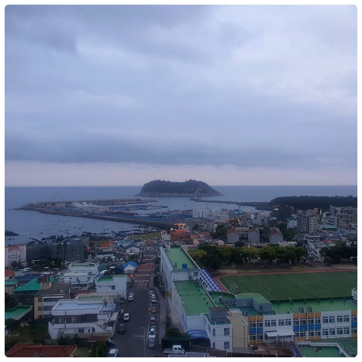  1박 2일 제주도 가족 숙소 호텔 브릿지 서귀포 감성숙소