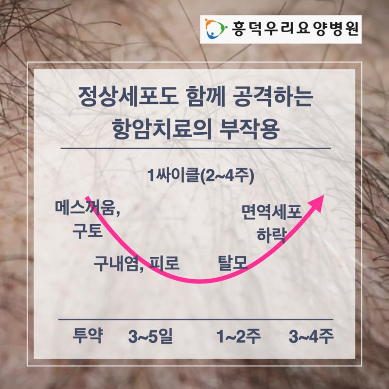 항암 후 면역관리가 가능한 분당암요양병원