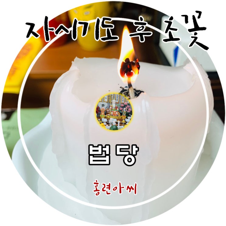  자시 기도 후 초꽃(경기도 유명한점집 홍련아씨당)
