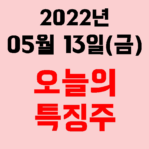  오늘의 시장 특징주 2022년 05월 13일(금)