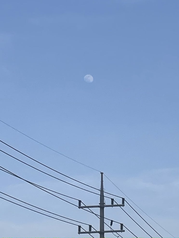  블로그 다시 시작합니다
