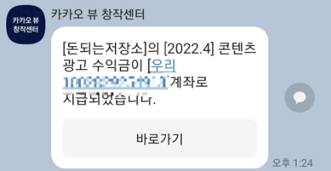  첫 카카오뷰 수익 정산 공개!(ft.블로그 연동)