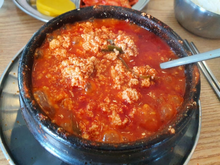  [ 제주 공항 ] 신해바라기분식 - 순두부찌개