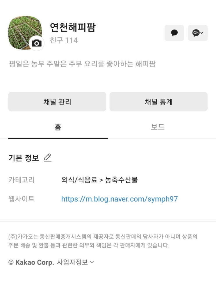  카카오뷰 4월 수익 정산