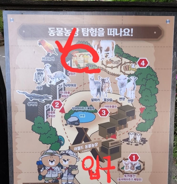  대구 이월드 방문기  수국정원 위치 카맬백 후룹라이드 영상 찍기