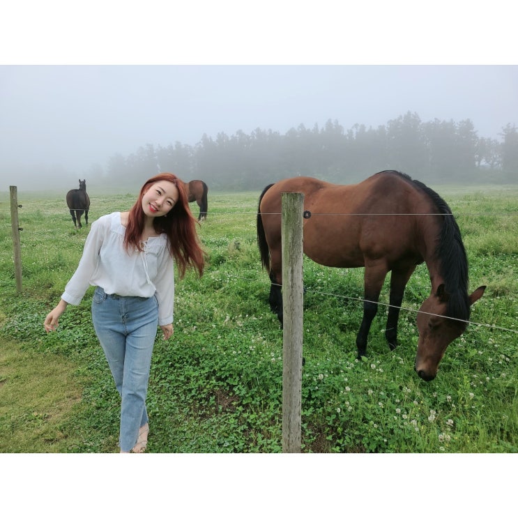  제주서쪽가볼만한곳 성이시돌목장 힐링하고 왔따아