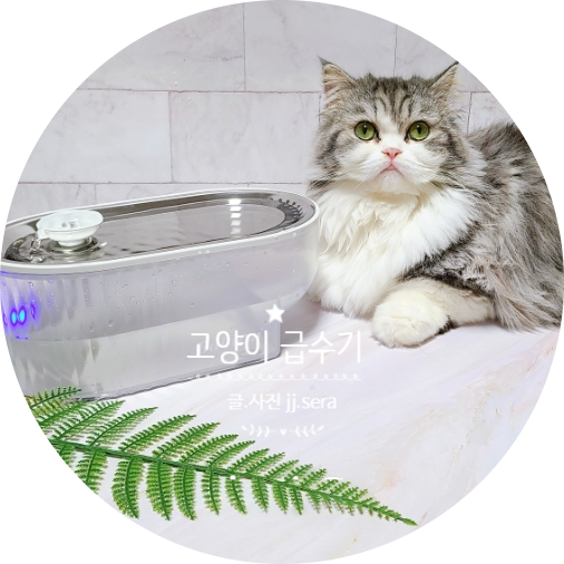 고양이정수기 추천  : 바비온  고양이급수기로 음수량 높이는 방법 (f. 고양이 물 )