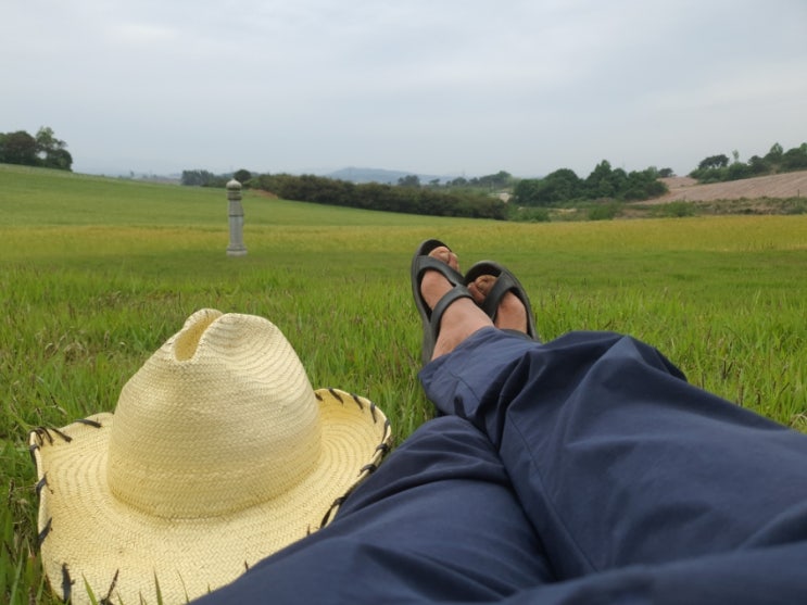오늘은 엄마 오늘은 엄마