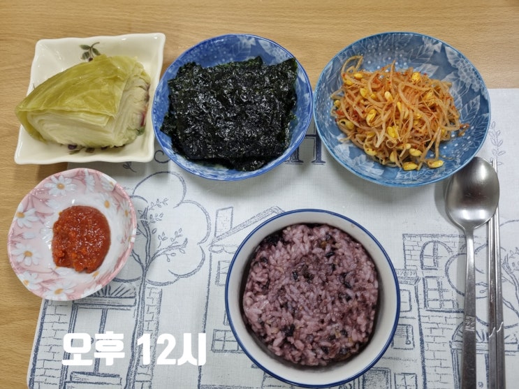 식이조절 다이어트, 간헐적단식(16:8)_100
