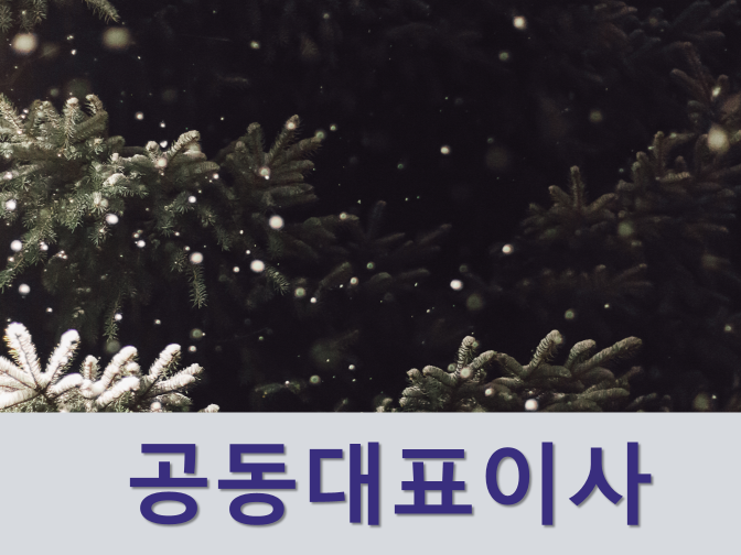  공동대표이사와 각자대표 차이점 간단 정리