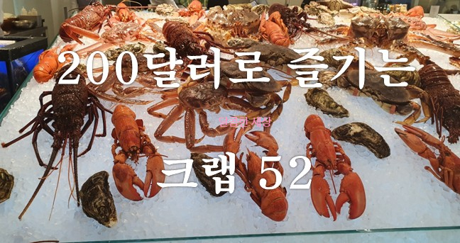  [삼성동] 크랩52-1인당 200달러,달러야 오르지마