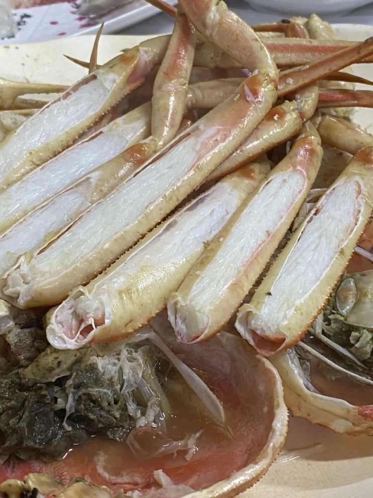  포항 죽도시장 삼형제횟집