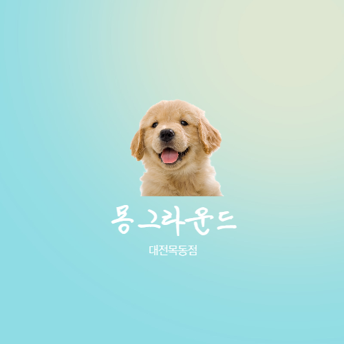 [카페]대전 목동 몽그라운드, 대전강아지카페 깜비랑 방문!!