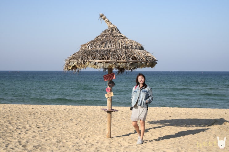 양양 서피비치 이국적인 양양 바다 여행 코스 양양 서피비치 이국적인 양양 바다 여행 코스