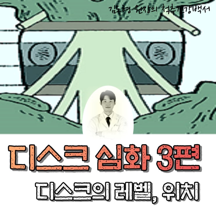  디스크 심화 3편. 디스크의 위치, 명명법 (HIVD nomenclature)