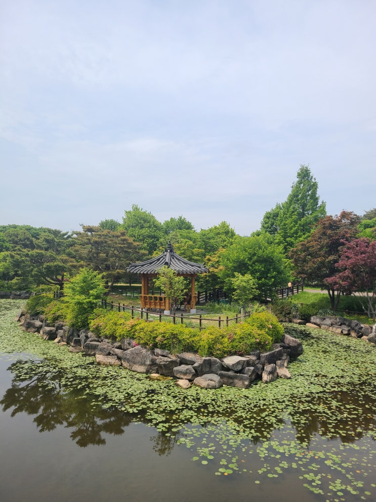  [경제 금융 용어 700선](31~40) 경영실태평가,경영지도비율,경영평가지표,경제성장률,경제심리지수,경제협력개발기구,OECD,경제활동인구,비경제활동인구,경제활동참가율,경제후생지표
