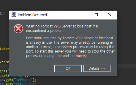 톰켓 사용중일 때 (오류 : starting tomcat v8.0 server at localhost has encountered a problem)