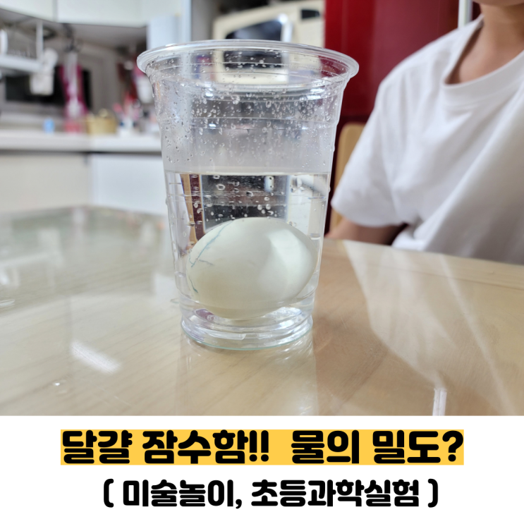 초등과학실험 달걀 잠수함 만들기(물의 밀도,간단한 달걀 놀이)