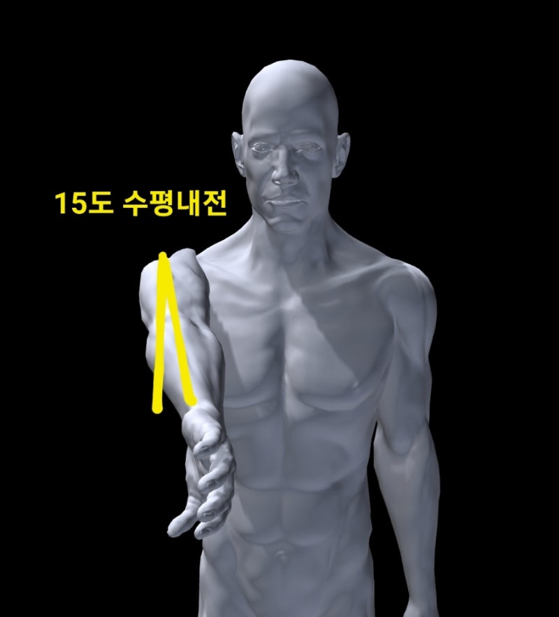 슬랩 병변(SLAP lesion) : 원인과 검사 방법 - O'brien / Kibler / Clunk / Crank test ...
